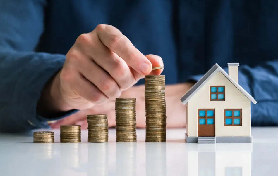 Real Estate & Investment