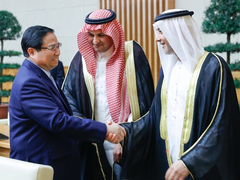Promoting the role of a bridge, actively promoting cooperation between Vietnam and Saudi Arabia, UAE, Qatar